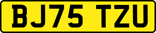 BJ75TZU