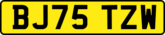 BJ75TZW