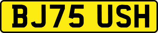 BJ75USH