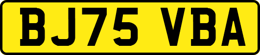 BJ75VBA