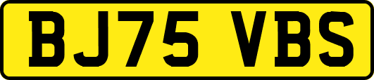 BJ75VBS