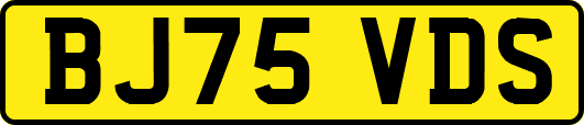 BJ75VDS