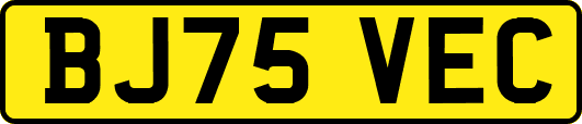 BJ75VEC