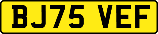 BJ75VEF
