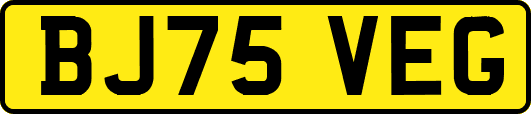 BJ75VEG