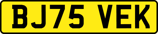 BJ75VEK