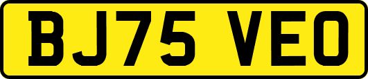 BJ75VEO