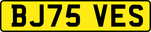 BJ75VES