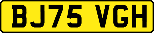 BJ75VGH