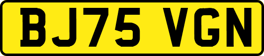 BJ75VGN