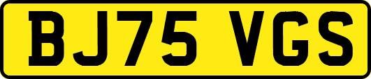 BJ75VGS