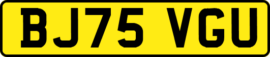 BJ75VGU