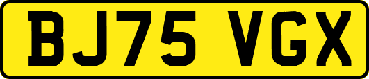 BJ75VGX