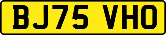 BJ75VHO