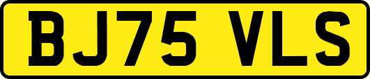 BJ75VLS