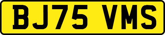 BJ75VMS