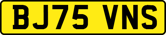 BJ75VNS