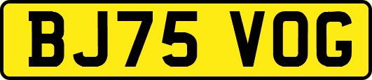 BJ75VOG