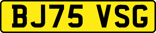 BJ75VSG