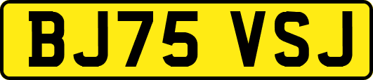 BJ75VSJ