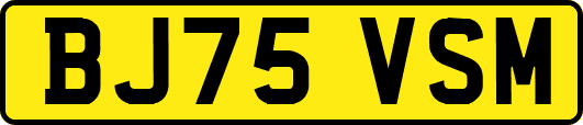 BJ75VSM