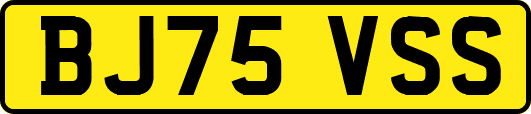 BJ75VSS
