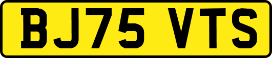 BJ75VTS