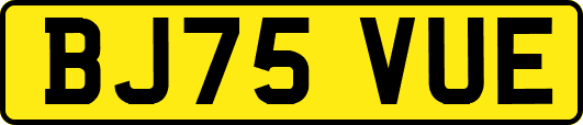 BJ75VUE