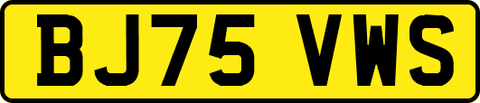 BJ75VWS