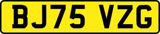 BJ75VZG