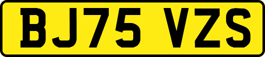BJ75VZS