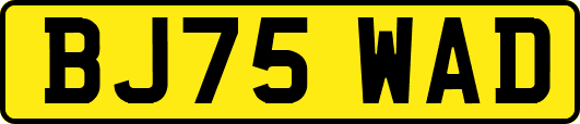 BJ75WAD