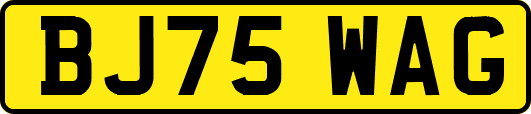 BJ75WAG