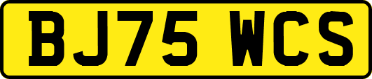 BJ75WCS