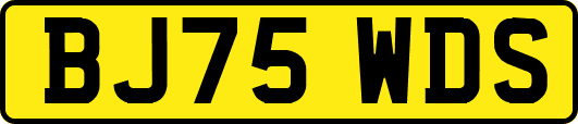 BJ75WDS