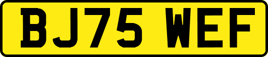 BJ75WEF