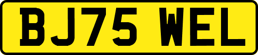 BJ75WEL