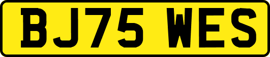 BJ75WES