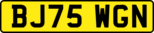 BJ75WGN