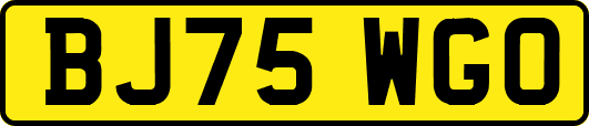 BJ75WGO