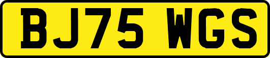 BJ75WGS