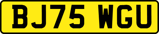BJ75WGU