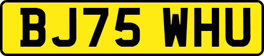 BJ75WHU