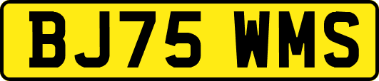 BJ75WMS