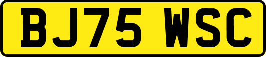 BJ75WSC