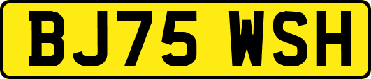 BJ75WSH