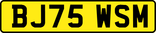 BJ75WSM