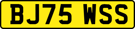 BJ75WSS