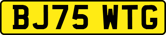 BJ75WTG