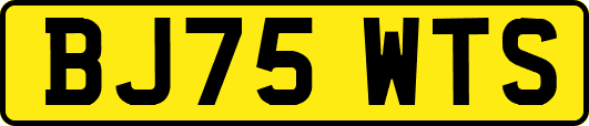 BJ75WTS